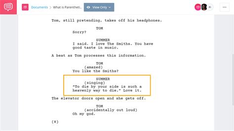 Parentheses In Script Writing