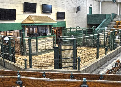 paris stockyard market report