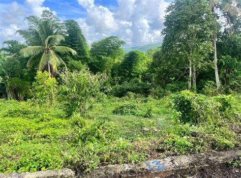 Parish Land For Sale