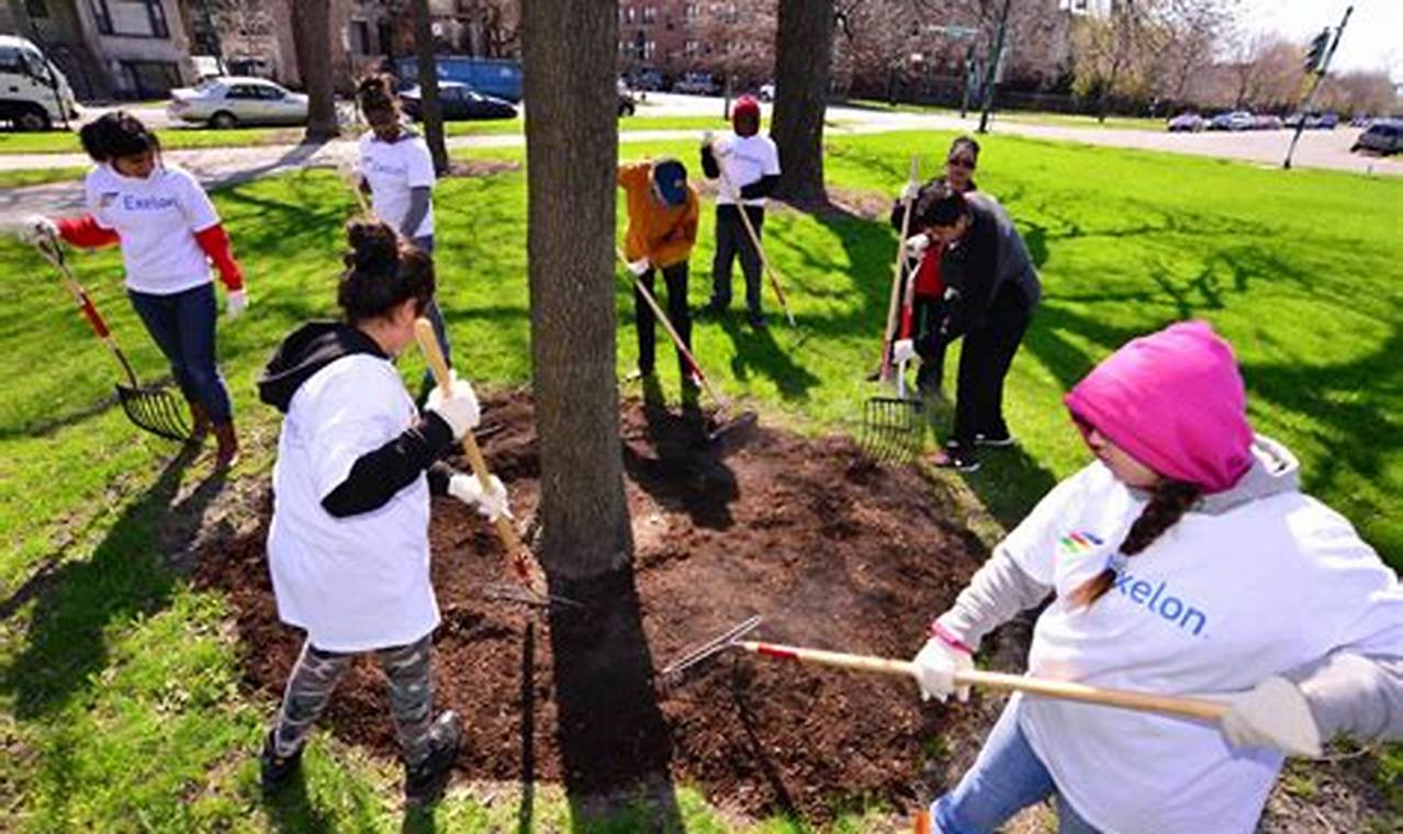 Park Volunteering: A Rewarding Experience for Nature and Community