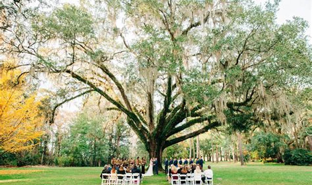 Park Wedding: An Enchanting Affair in Nature's Embrace