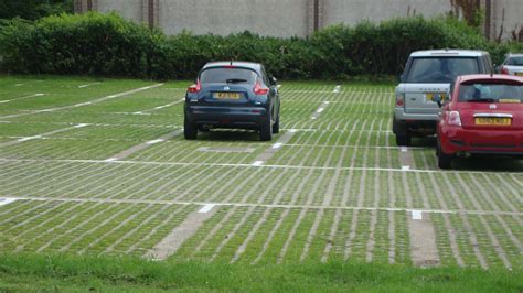 parking grass