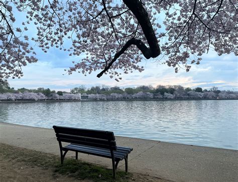 parking near tidal basin