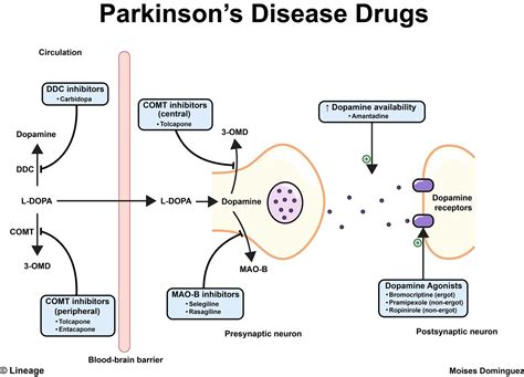 parkinson's disease medicine sinemet