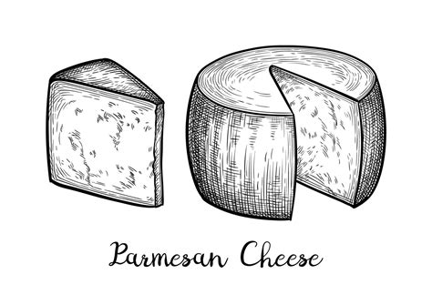 Parmesan Cheese Drawing