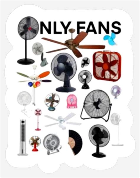 Where to Find What Is Jobs Kinsley Fans: Complete Guide 2026