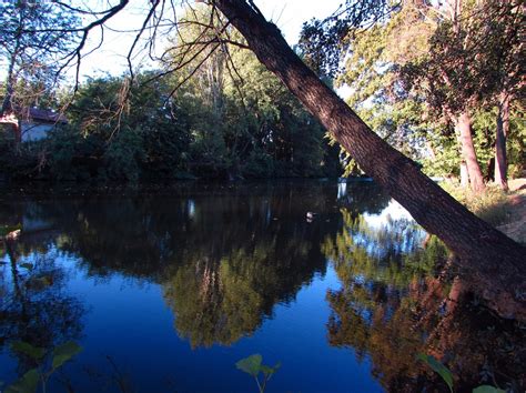 Imagen del Parque de la Isla, Celaya