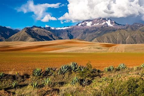parque nacional carrasco bolivia