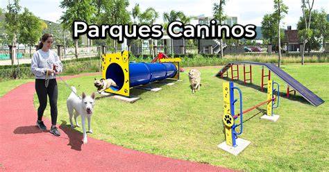 Los mejores parques para mascotas de la CDMX Dog park design, Parking