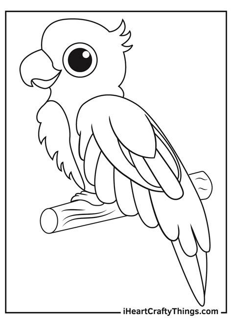 Free Parrot coloring pages for Adults. Printable to Download Easy