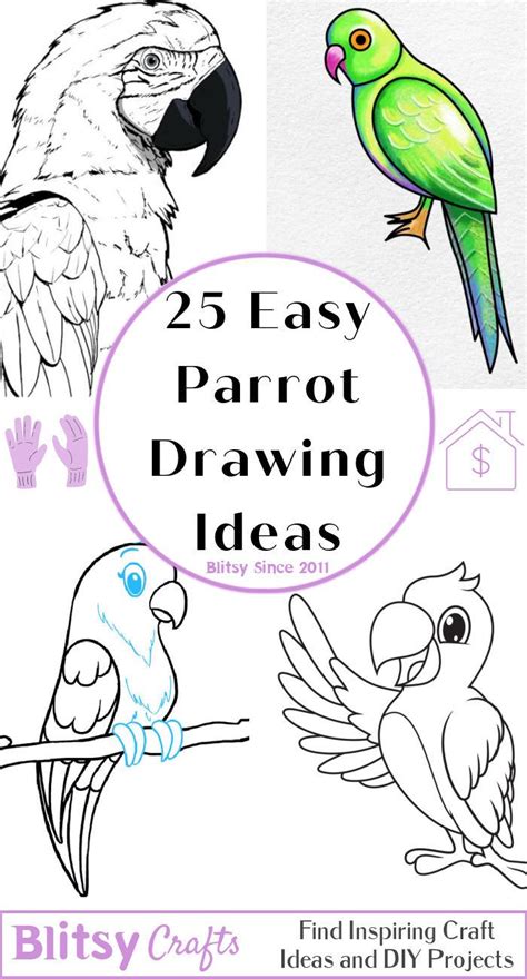 Parrot Drawing