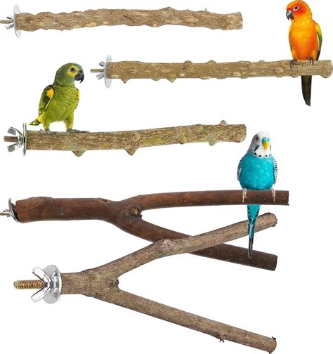 Parrot Perches Uk
