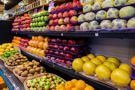 Parrot Shop Near Me Open Now