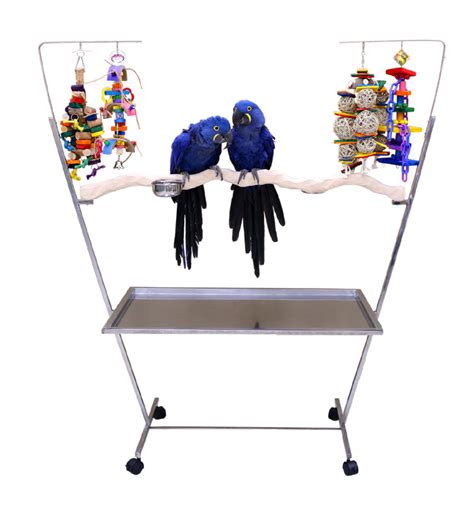 61″ Bird Play Stand Parrot Perch Pet Supply