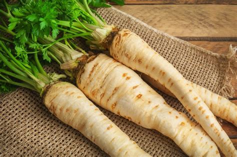 Parsley Root And Parsnip