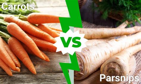Parsnips Vs Carrots What's The Difference? Foods Guy
