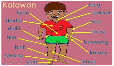 FREE Mga Bahagi ng Katawan Worksheets — The Filipino Homeschooler