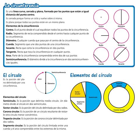 partes de un circulo para primaria