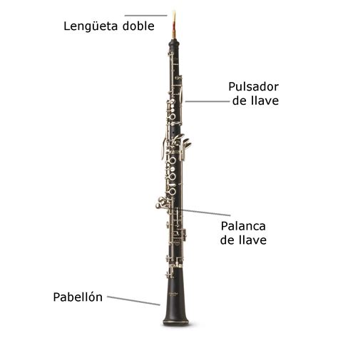 partes del oboe instrumento musical
