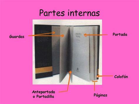 partes internas del libro