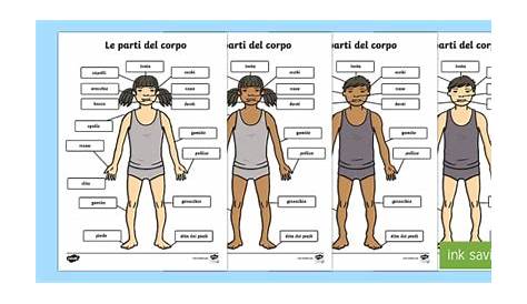 Body Parts In Spanish Worksheet