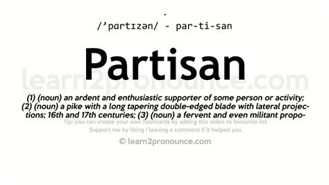 partisan meaning in english