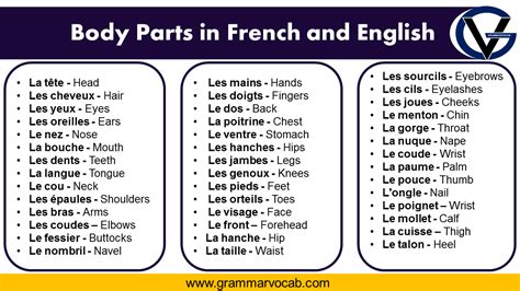 Partition French Meaning