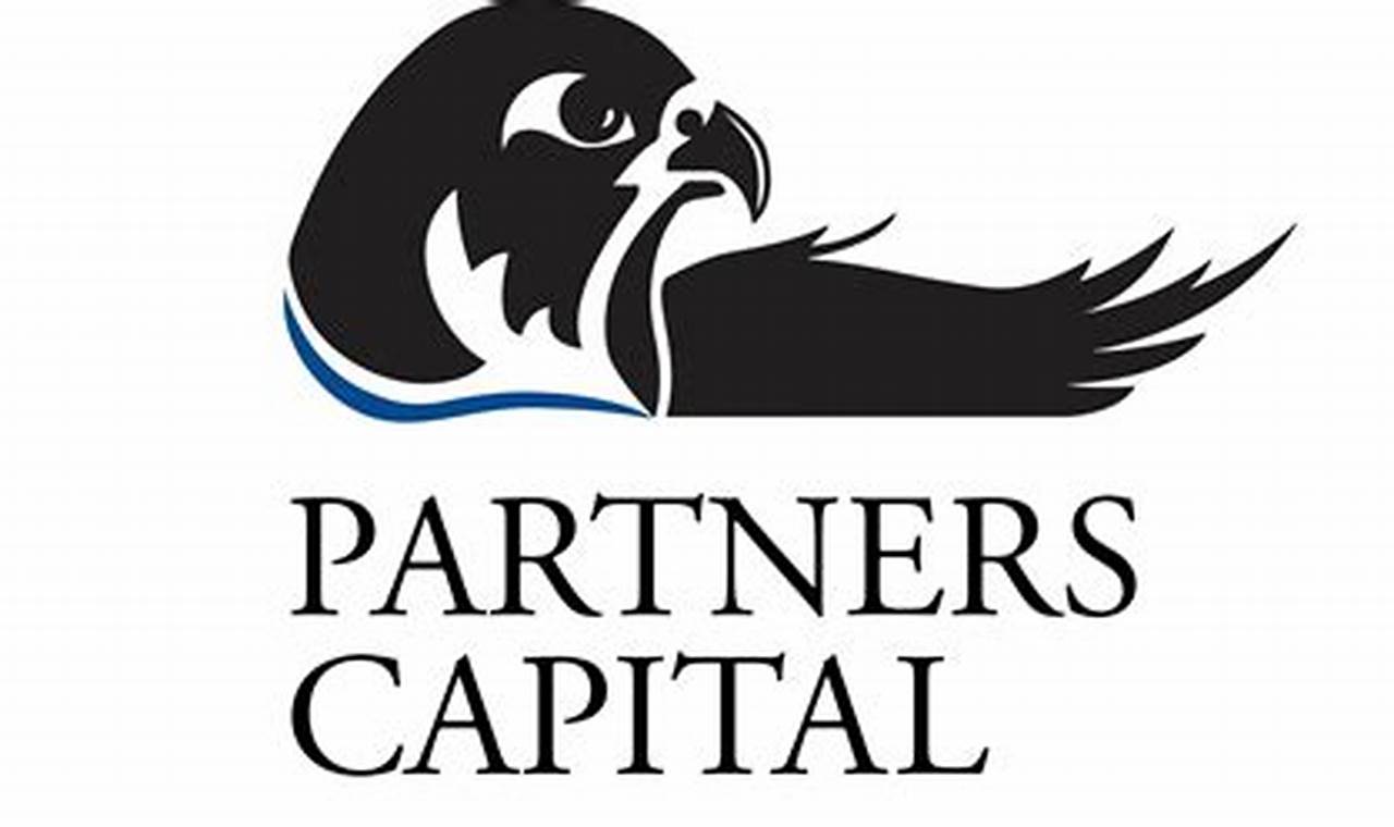 partner capital loans