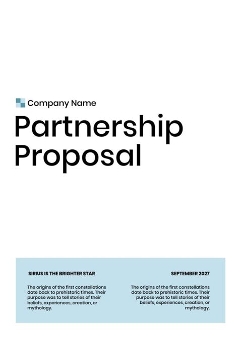 FREE 13+ Sample Partnership Proposals in PDF Google Docs Pages MS