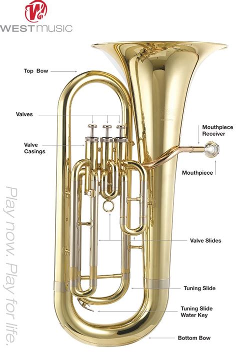 Baritone and Euphoniums copy1 on emaze