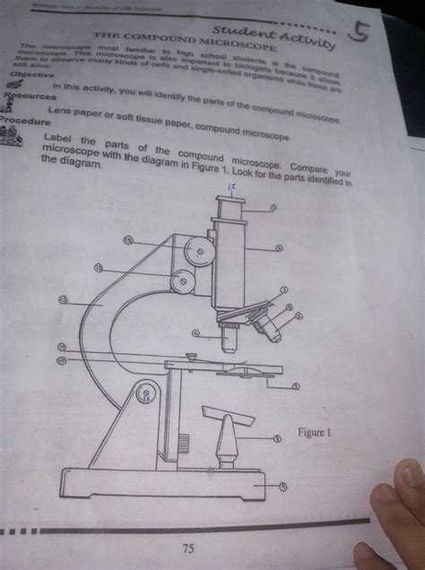 Parts And Functions Of Microscope Brainly