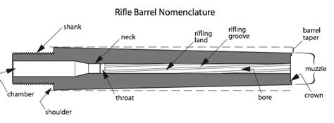Parts Of A 22 Rifle Barrel