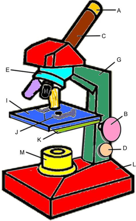 parts of a microscope coloring worksheet