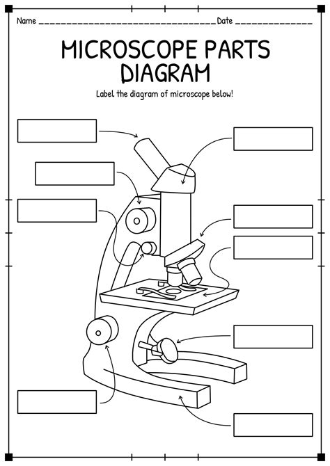 parts of a microscope worksheet for kids