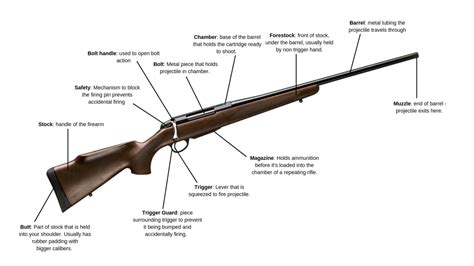 Parts Of A Rifle Bolt Action