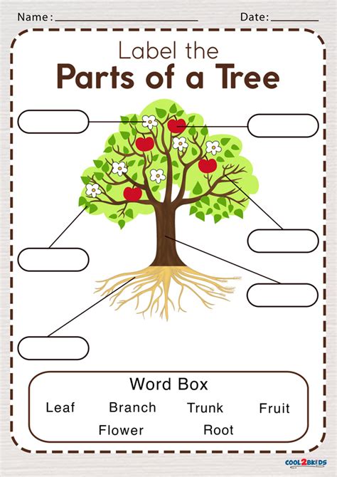 parts of a tree worksheet for grade 1