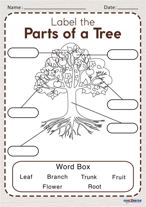 parts of a tree worksheet printable