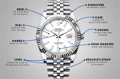 Parts Of A Watch Explained