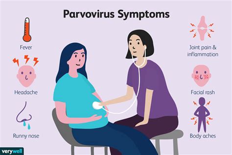 parvo b19 in adults symptoms