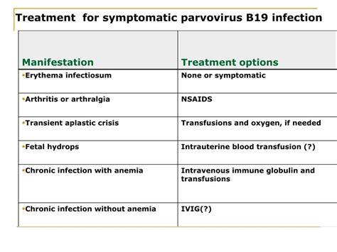 parvovirus b19 treatment in adults