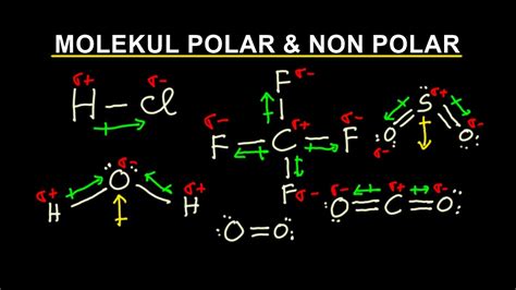 Pasangan Molekul Berikut yang Merupakan Molekul Polar dan Nonpolar Adalah