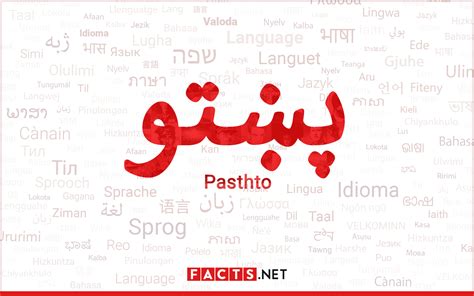 5 Pashto Learning Tips