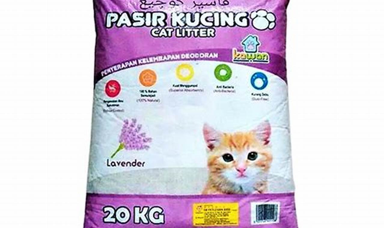 Jenis Pasir Kucing Terbaik dan Cocok untuk Kucing