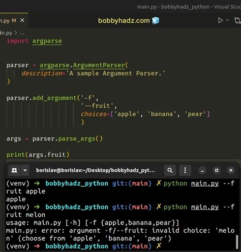 pass arguments to python script argparse
