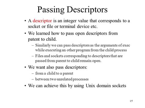 Pass File Descriptor To Child Process