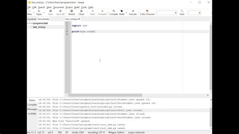 passing arguments in python from command line