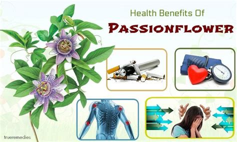 passion flower leaf benefits