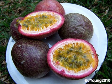 passion fruit south africa