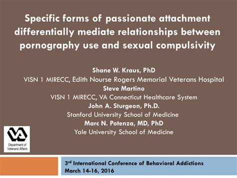 passionate pornography