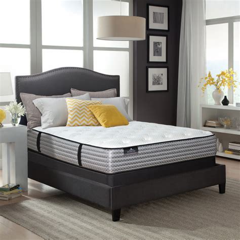 passions imagination luxury plush king size mattress set